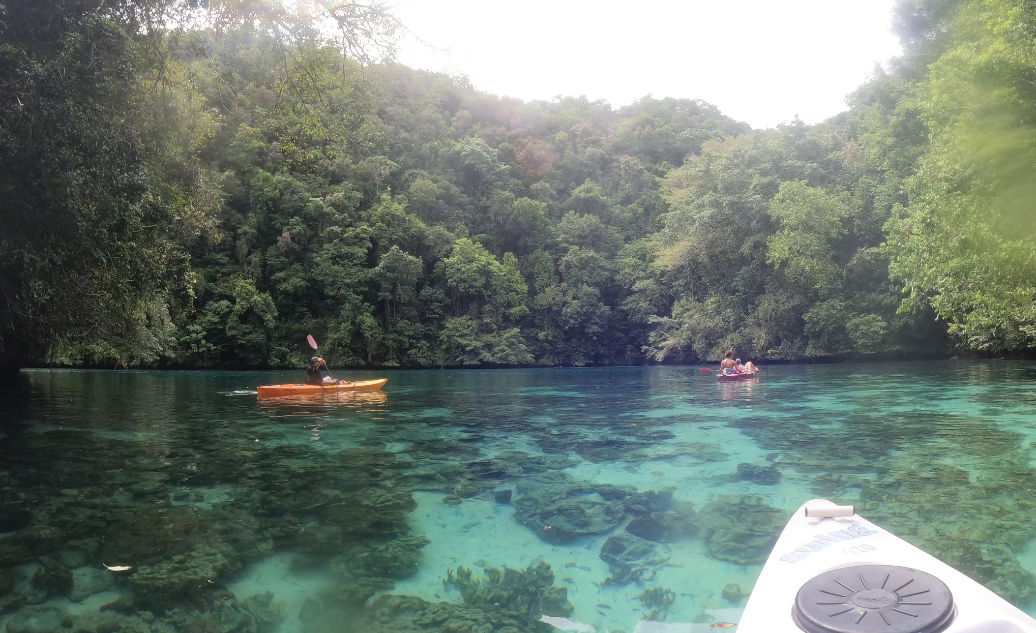 Kayak en Nikko Bay, Palau